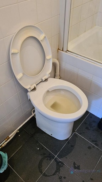  verstopping toilet Wormer
